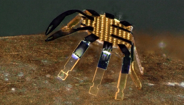 Миниатюрни роботи-раци са по-малки от бълхаУчени от САЩ са изобретили