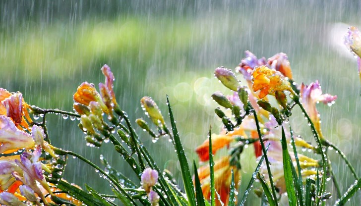 Топло за сезона време днес, а в някои райони вече