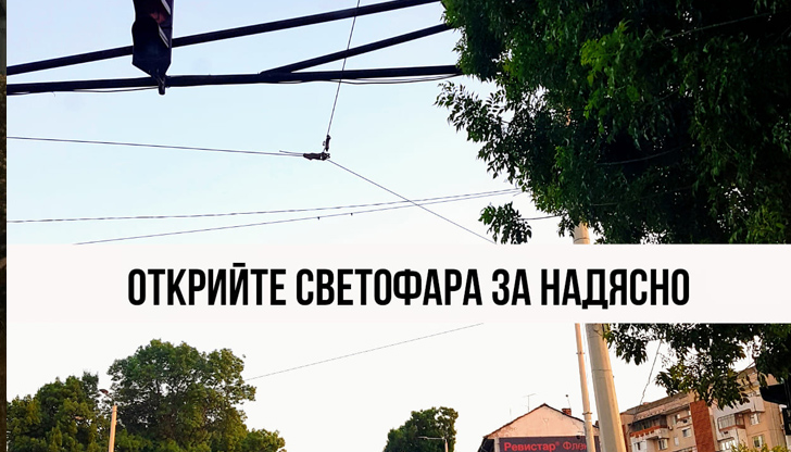 Проблем на много места в Русе - клоните и листата