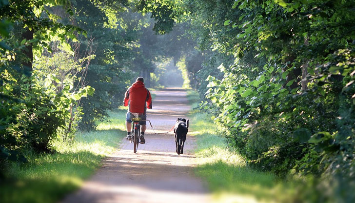 В събота може да достигнат до 31&deg; през деняСутрешните температури