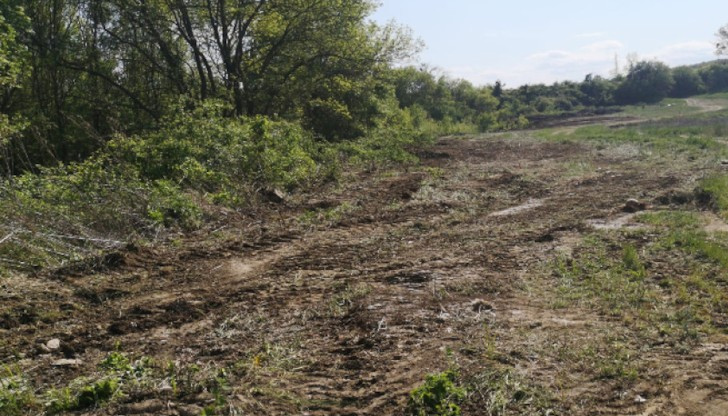 Във фейсбук групата " Да запазим Корал" бяха публикувани снимки,