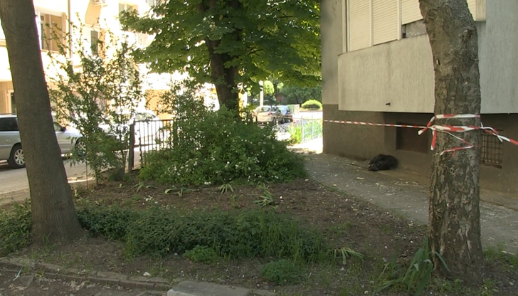 Очакванията на русенци, че на 24 май ще могат да