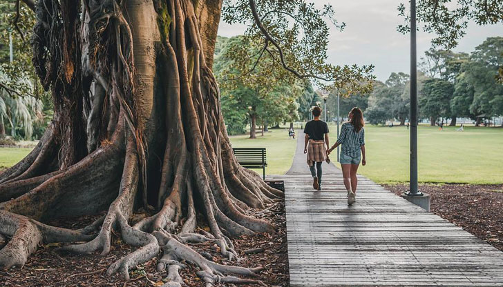 Утре ще е преобладава слънчево времеПрез нощта над Западна България