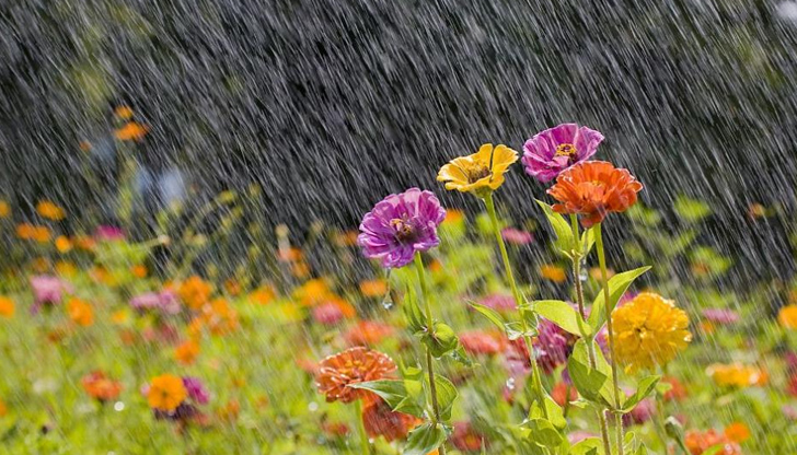 Дневните температури слабо ще се понижат и максималните ще са