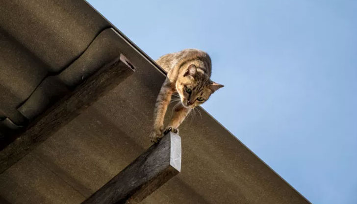 През денонощието екипите на пожарната в Русенско са реагирали на