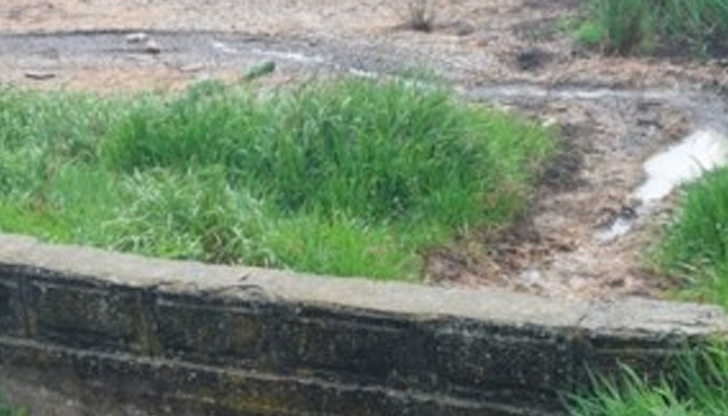 В края на миналата седмица експерти на РИОСВ-Русе изпълниха заповед