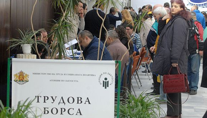 Експерти коментират защо 1 милион българи нито работят, нито учатСамо