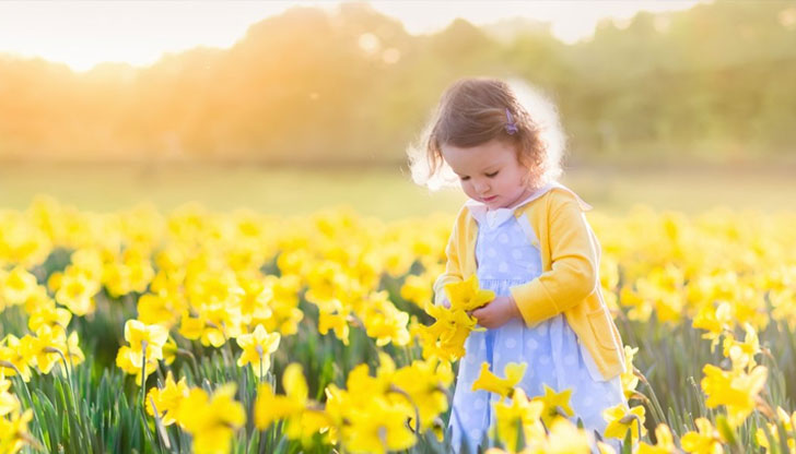 Утре ще преобладава слънчево времеПо-значителни увеличения на облачността ще има