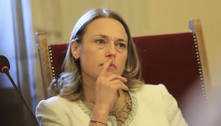 Предсрочните избори няма да доведат до нищо по-добро - избирателната