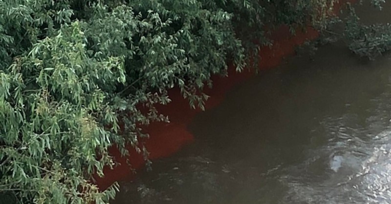 Река Русенски Лом продължава с изненадите – днес „цветните води“