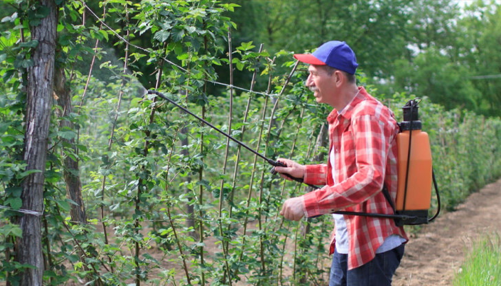 Решаващо условие е своевременното провеждане на мероприятията за борба с