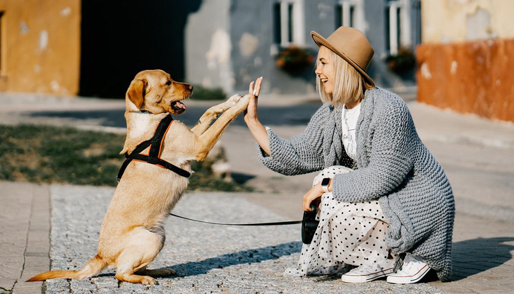 В Кюстендил се надяват да ограничат отпечатъка върху околната средаВ