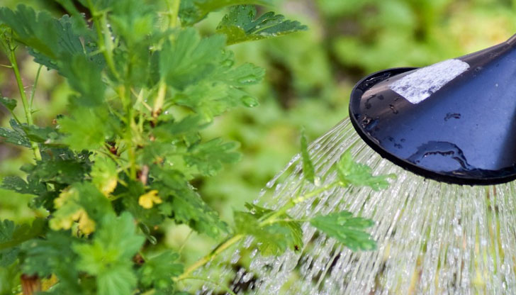 Съществува един стар трик, който помага за решаването на два