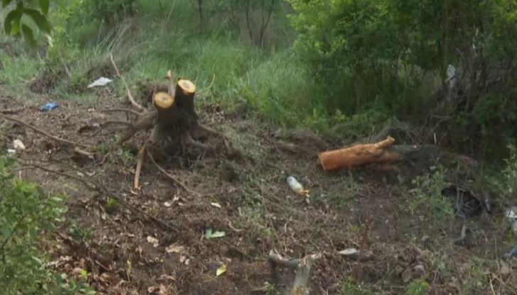 Четирима души загинаха след тежка катастрофа на пътя Пловдив -