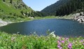 Учени: Седемте Рилски езера може да се превърнат в блата