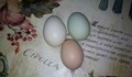 7 факта за кокошите яйца, които е добре да знаете