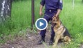 Полицаи с кучета на плажа