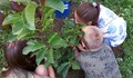 Деца ще попаднат в "Чудния свят на растенията" в ботаническата градина на Русенския университет