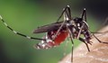 Репеленти срещу кръвосмучещите насекоми - как действат