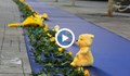 София почита жертвите на войната в Украйна със 100-метрово синьо платно