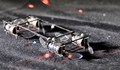 Учени създадоха роботизирани "светулки" за спасителни операции