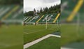 Лисица се оплете в мрежата на вратата на стадион в Благоевград