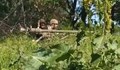 Българско оръжие беше демонстрирано в действие в Украйна