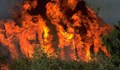 Турция обмисля връщането на смъртното наказание заради горски пожари