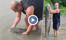 Русенец улови 40 килограмов сом и го пусна обратно в Дунава
