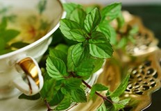 Българската традиционна кухня се определя като пикантна тъй като едни от основните