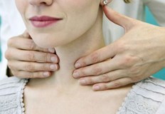 Щитовидната жлеза се намира в предната част на шията и