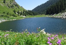 Голяма част от езерата в Национален парк Рила са под