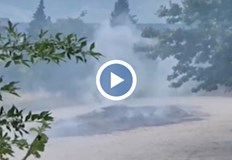 Хората от града пропищяха от обгазяването с наркотичното растениеНад 6