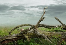 Питейната вода е под режимИталианската област Ломбардия обяви извънредно положение