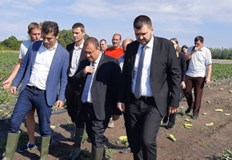 До месец се очаква да бъдат изплатени компенсациите на земеделските