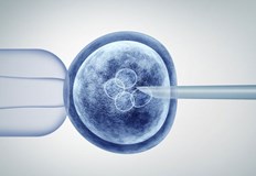 Комисия ще разгледа подадените заявления и ще излезе с решение