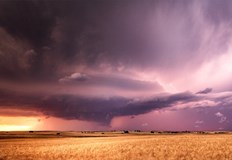 През деня над страната ще се развива купеста и купесто дъждовна облачностСутрешните