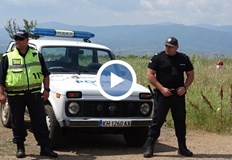 Полицията ще охранява черешите в КюстендилскоАвтопатрули тръгват из насажденията в Кюстендилско