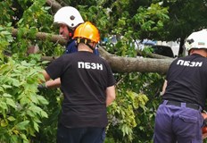 Екипите на пожарната са реагирали на 7 сигнала през изтеклото