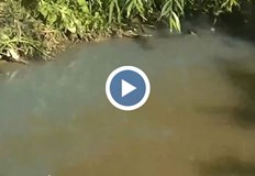 Подаден е сигнал до екоинспекциятаРусенският Лом за пореден път потече