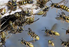 Опасността е премахнатаМежду 19 15 и 20 50 часа един екип от