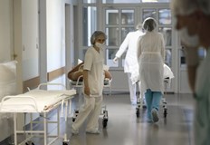 Заболяването и при двамата протича лекоПървите заразените с маймунска шарка