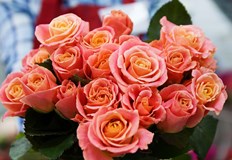 На 29 юни Българската православна църква чества паметта на двамата