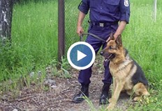 Ще има и КПП та в курортните комплекси а полицаи с