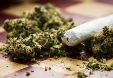 Двама русенци са заловени вчера с наркотици По случая работят