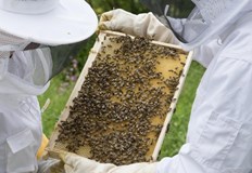 Десетки русенски деца ще станат част от Детска бригада и