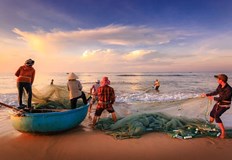 Рибари във Варненско се радват на добър улов през последните