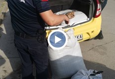 Той е открит в кола в Мездра66 400 кг нарязан тютюн
