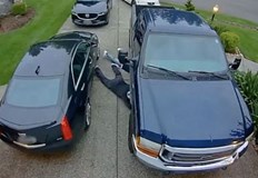 Служители на полицейското управление в Горна Оряховица разкриха две кражби