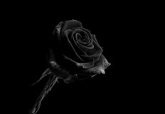 Тялото на актрисата било намерено в река в Ню ЙоркАктрисаМери